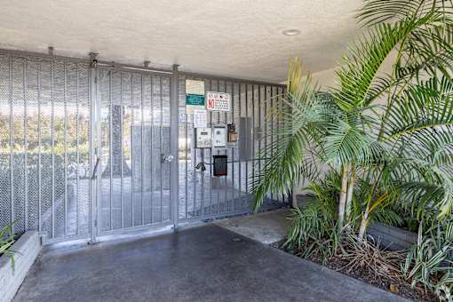 A concrete area with a gate and a plant.