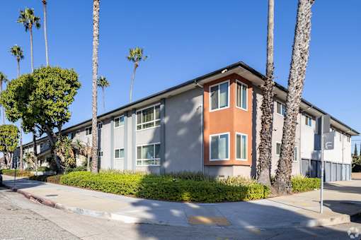 A row of palm trees in front of a building.