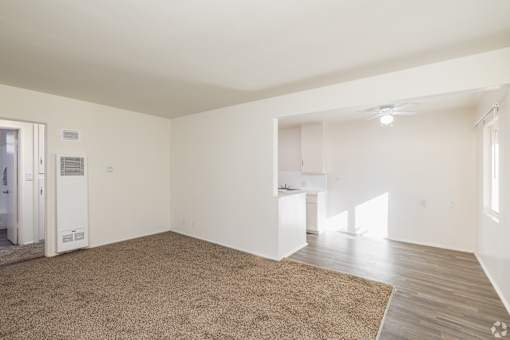 A large, empty room with a carpeted floor and a ceiling fan.