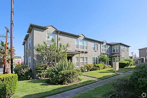 A row of houses with green plants in front.