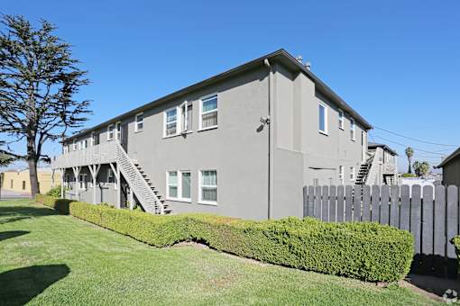 A grey house with a white picket fence and a tree in front.