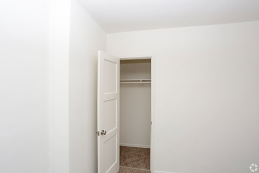 A white door is open to a small closet.