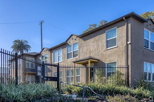 A house with a black fence and a palm tree in front.