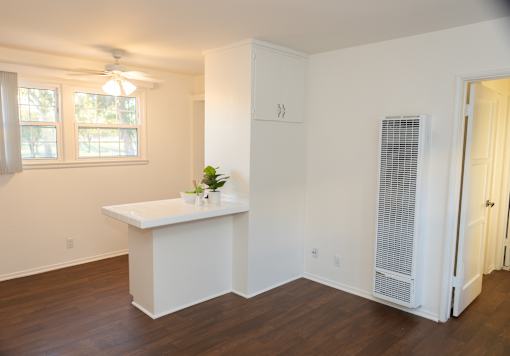 A white room with a window, a plant, and a white cabinet.