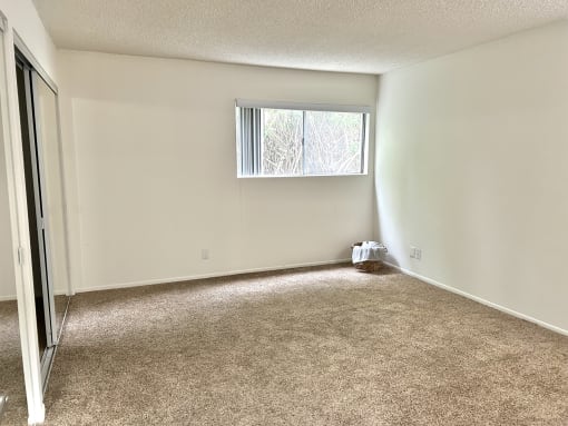 an empty living room with carpet and a window