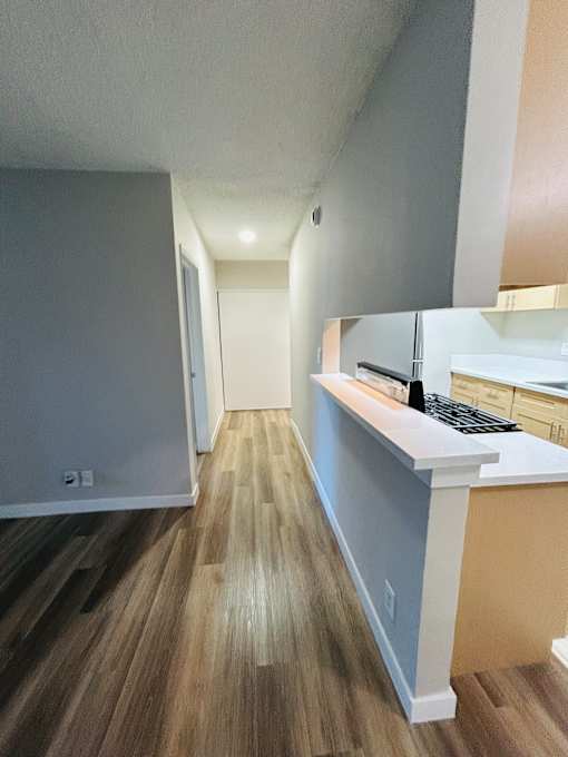 A long hallway with a kitchen area on the right.