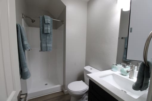 Downstairs bathroom