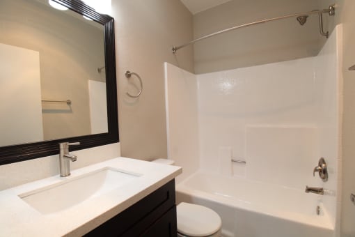 a bathroom with a sink and a toilet and a bath tub