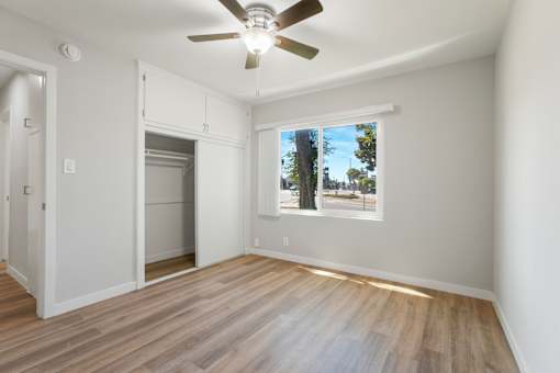 A room with a ceiling fan and a window showing a tree outside.