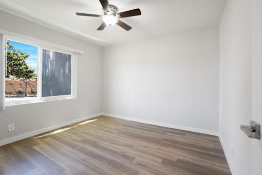 A room with a ceiling fan and a window showing a tree outside.