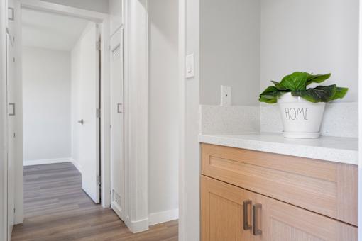 A white pot with a plant in it that says home on the side sits on a counter.