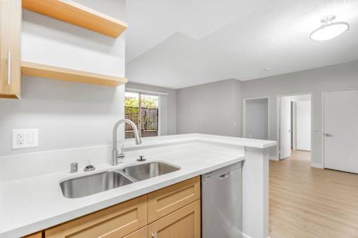 A kitchen with a sink and a dishwasher.