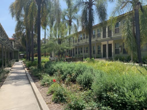 Courtyard landscaping