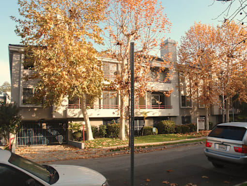 A tree with orange leaves stands in front of a grey building.