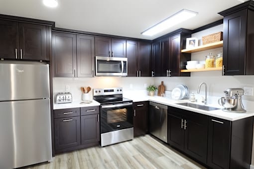 A modern kitchen with black cabinets and stainless steel appliances.