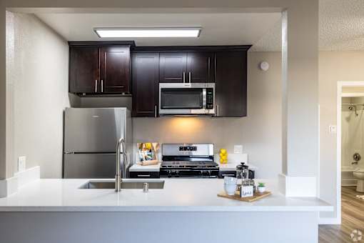 A modern kitchen with dark brown cabinets and stainless steel appliances.