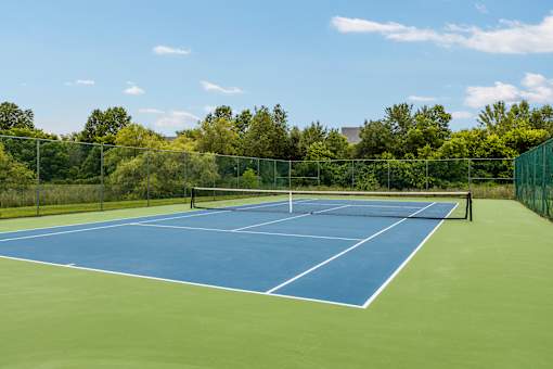 A tennis court with a net and no players.