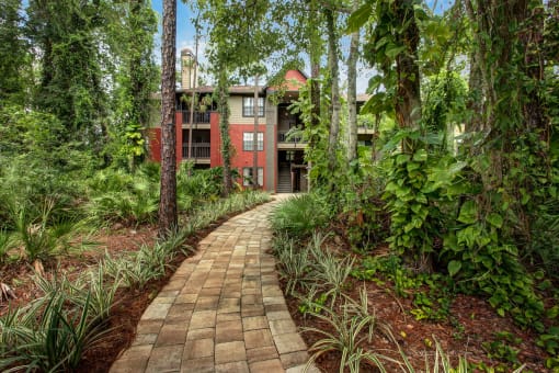 a path leading to a house in the woods at Timberwalk at Mandarin Apartment Homes, Florida, 32257