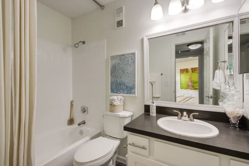 Bathroom With Vanity Lights at Timberwalk at Mandarin Apartment Homes, Jacksonville