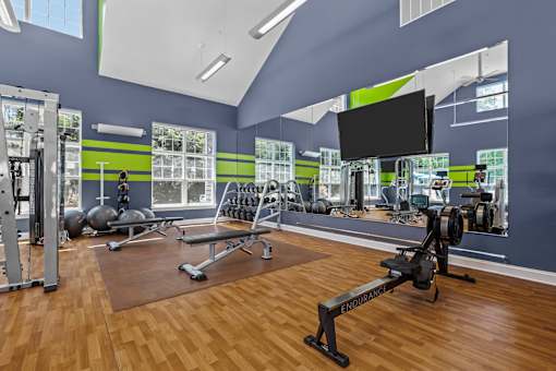 A gym with a variety of equipment including a squat rack, bench press, and a mirror.