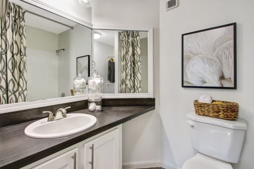 Luxurious Bathroom at Timberwalk at Mandarin Apartment Homes, Jacksonville, 32257