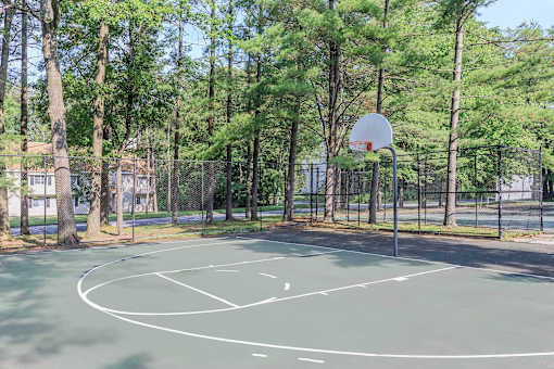 A basketball court surrounded by trees.