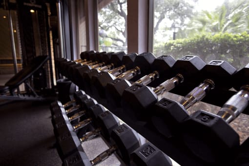 Free Weights  at Walnut Hill, Texas