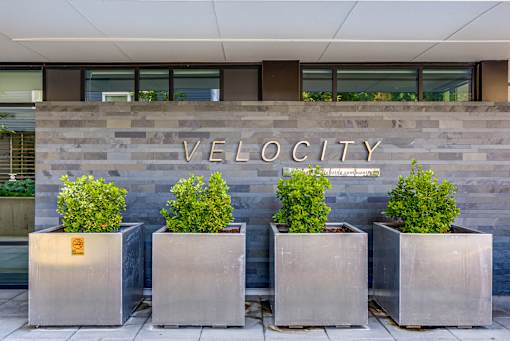 Four concrete planters with green plants in front of a wall with the word VELOCITY on it.
