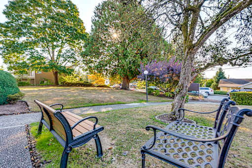 Two benches are sitting in a park with trees and grass around them.