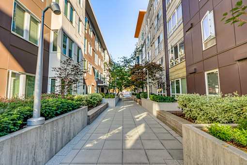 A long, narrow walkway between two buildings with green shrubbery on the sides.