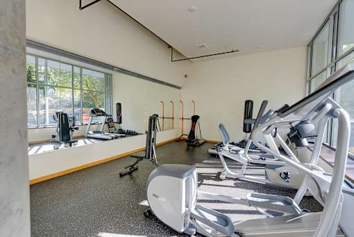 A gym with treadmills, elliptical machines, and other exercise equipment.