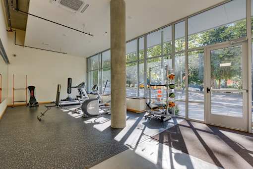 A gym with treadmills, weights and exercise equipment.