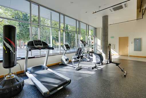 A gym with treadmills, weights, and exercise equipment.