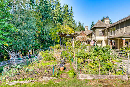 A backyard with a vegetable garden and a house in the background.
