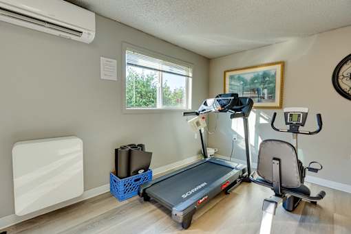 A room with a treadmill, a stationary bike, and a weight rack.