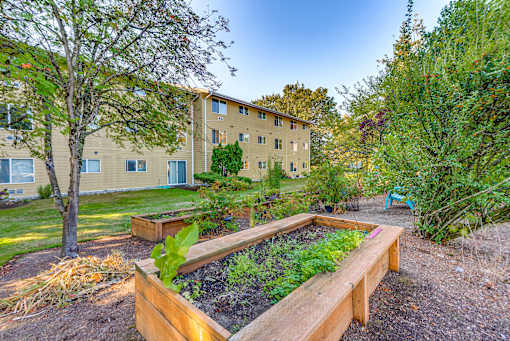 A garden with a bench in front of a building.