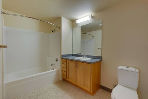 A bathroom with a white toilet, a sink, a mirror, and a bathtub.