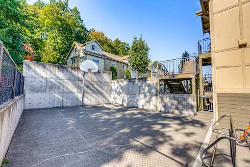 A backyard with a basketball court, a fence, and a tree.