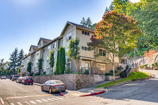 A row of houses with a tree in front of them.