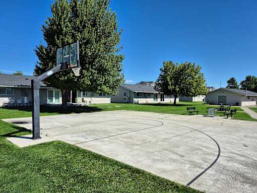 A basketball court is surrounded by houses and trees.