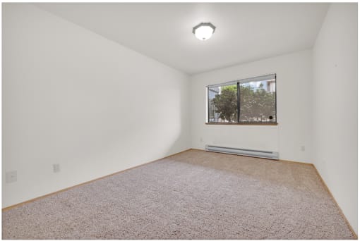 a living room with carpet and a window