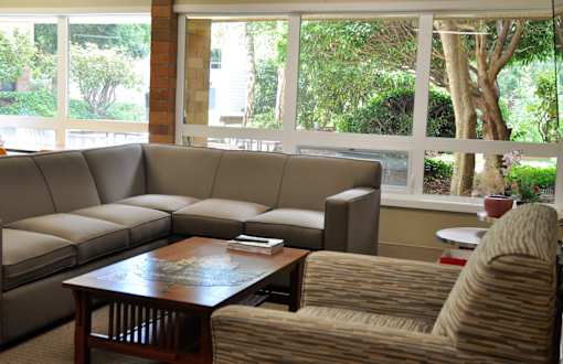 A brown couch sits in front of a window with a view of trees and a building outside.