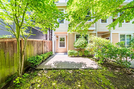 A green tree is in front of a building.
