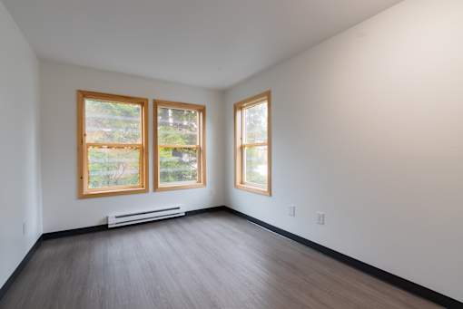 A room with two windows and a radiator on the wall.