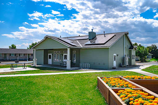 A small building with a green roof and a white door is surrounded by a grassy area with orange flowers.