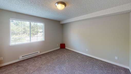 A room with a window and a carpeted floor.