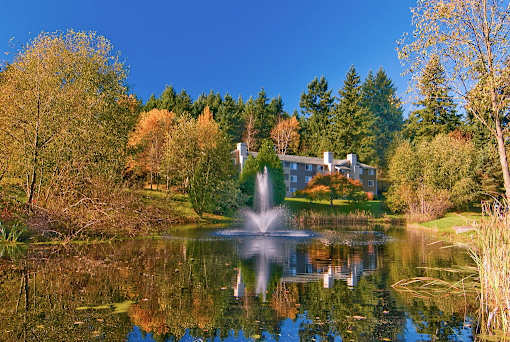 A fountain in the middle of a pond in front of a house.