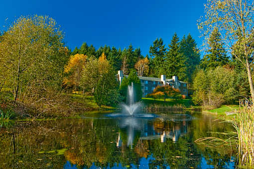 A serene landscape with a fountain in the middle of a pond surrounded by trees.