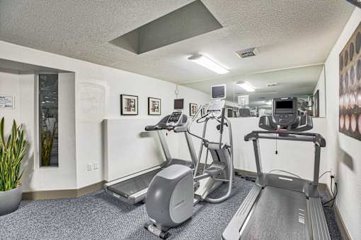 A gym with treadmills and elliptical machines.