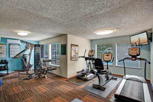 A gym with a treadmill, exercise bike, and weight machine.